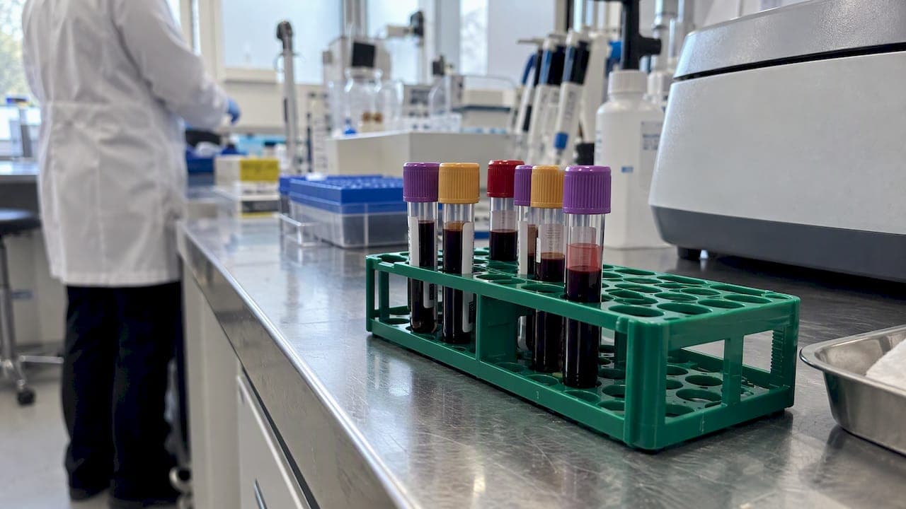 Executives, Test First: Micronutrients for Androgen Health, Retest in 8–12 Weeks