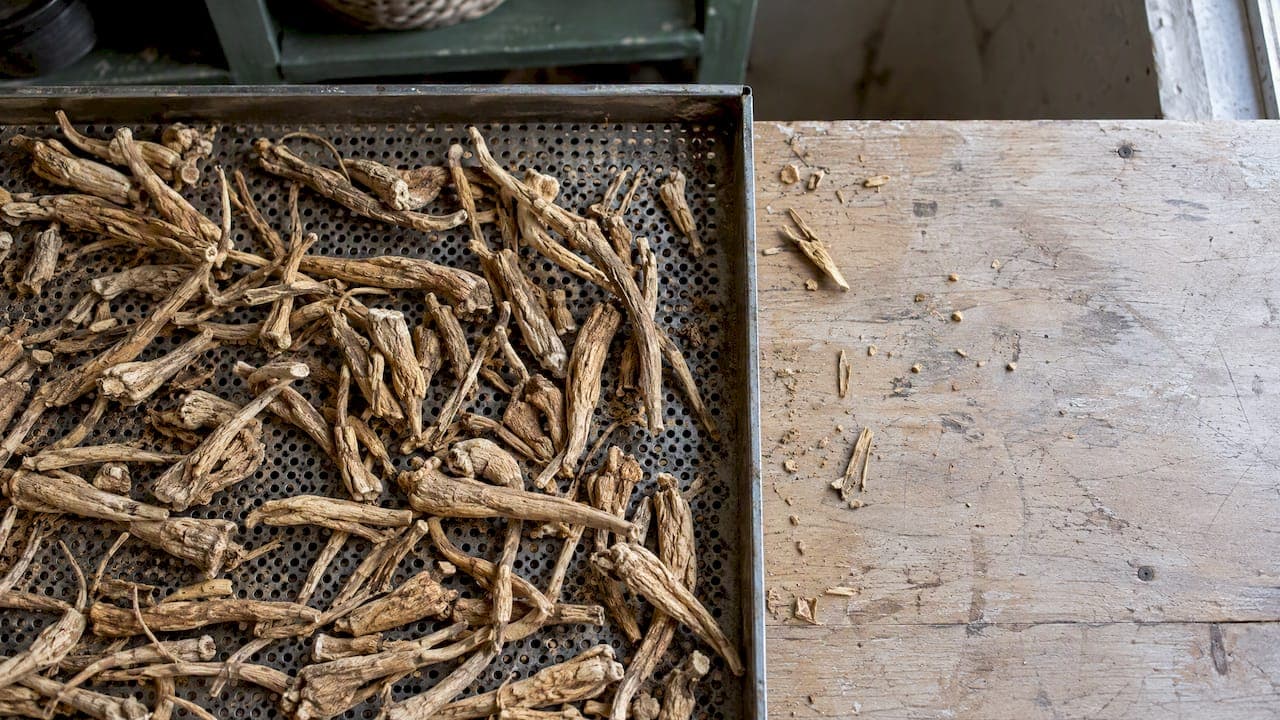 Androgenic Adaptogens: What the Evidence Supports for Men